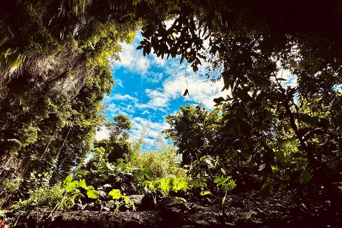 Explore Tahiti Nui, its landscapes and iconic sites. - Final Thoughts: Who Will Love This Tour?