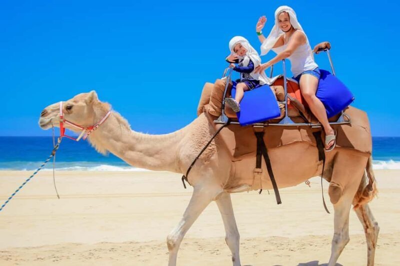 Explore Tangier: Cap Spartel, Cave, & Camel Ride Adventure - Key Points