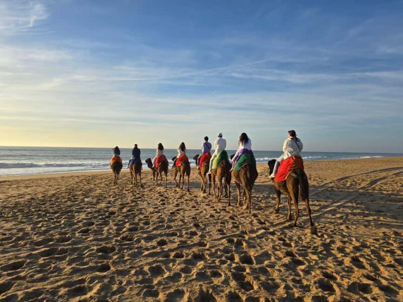 Explore Tangier: Cap Spartel, Cave, & Camel Ride Adventure - A Deep Dive into the Experience