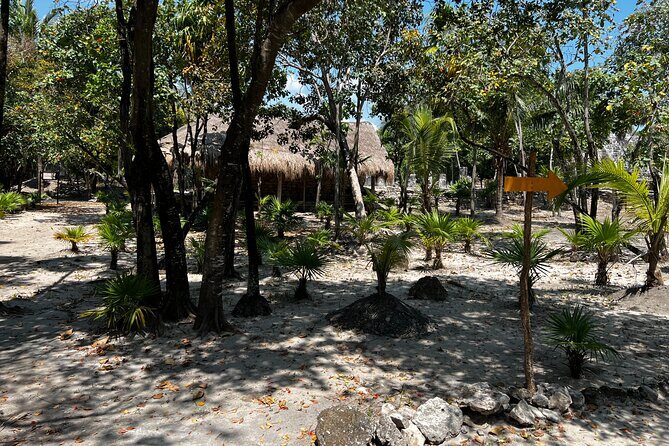 Explore the Ancient Wonders: Mayan Ruins 'El Meco' in Cancun - Transportation and Group Size