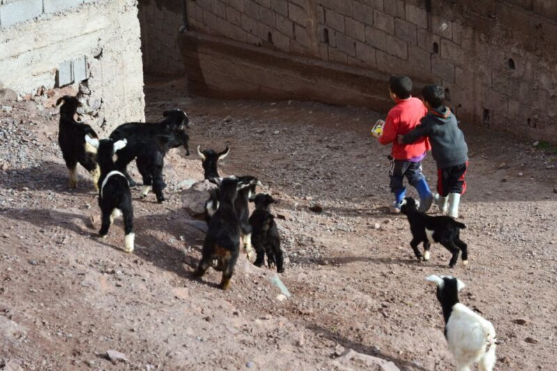Explore the Atlas Mountains and wonders of Berber Villages - What’s Included and What to Consider