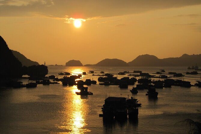 Explore The Beauty Of Cat Ba Island Hai Phong 2 Day Deluxe Trip - Who Should Consider This Tour?