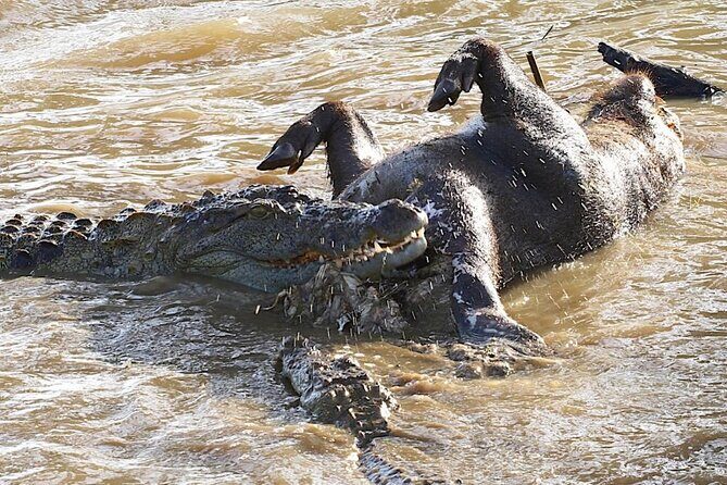 Explore The Beauty Of Udawalawe National Park From South Coast During 01 Day - Final Thoughts