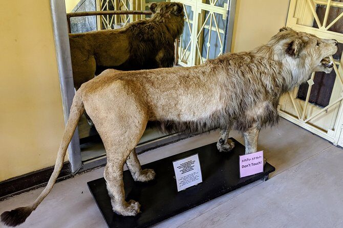 Explore the Best of Addis Ababa City Tour - Discovering Addis Ababa: What’s Included and What to Expect