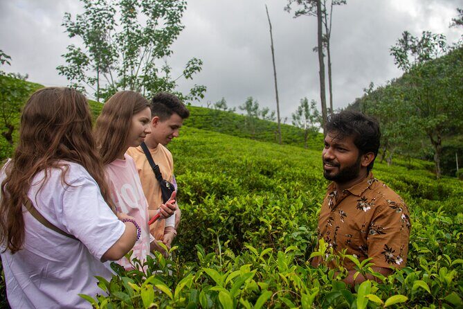 Explore the best of Ella. Hiking, waterfalls and cultural tour - FAQ
