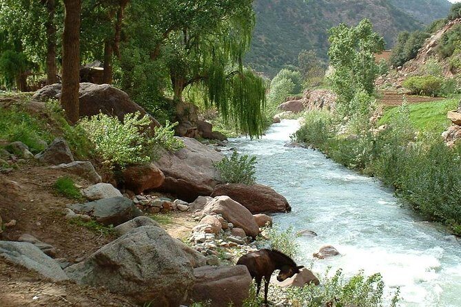 Explore The Best Of Ourika Valley: Departure From Marrakech. - Final Thoughts