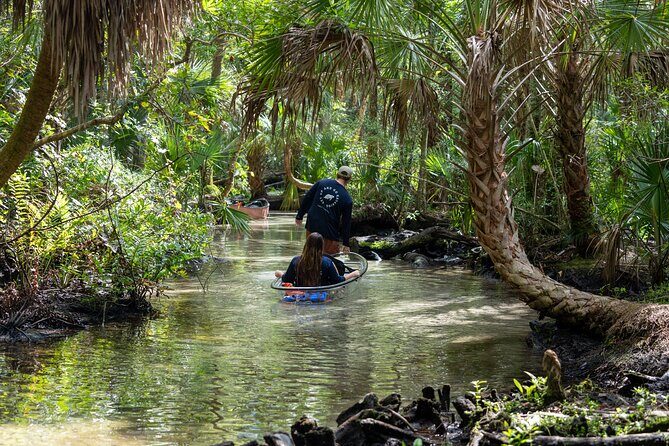 Explore The Chaz: Exclusive Clear Kayak Tours Near Crystal River - Practical Details and What It Means for You