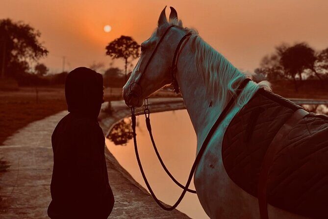 Explore The Desert &The Sea on a Horse Riding Cruise in Hurghada - Key Points