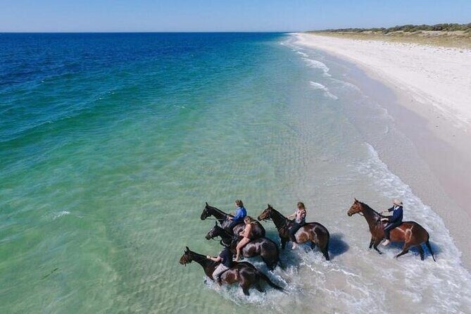 Explore The Desert &The Sea on a Horse Riding Cruise in Hurghada - An In-Depth Look at the Horseback Riding Experience in Hurghada