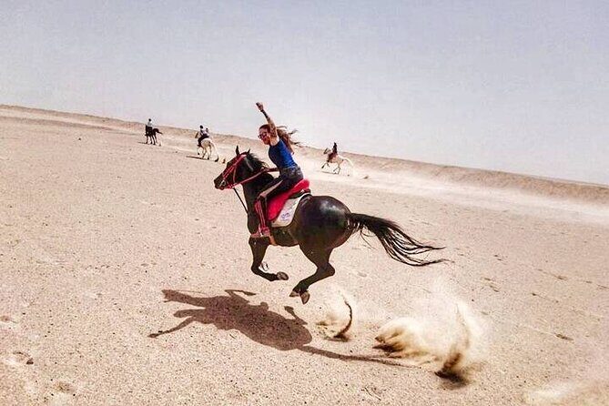 Explore The Desert &The Sea on a Horse Riding Cruise in Hurghada - The Sum Up