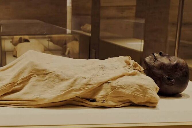 Explore The Egyptian History To Visit National Museum of Egyptian Civilization - Who Should Consider This Tour?