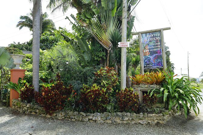 Explore the Enchanted Gardens of Barbados - Barbados Flower Forest: Relaxed Botanical Bliss