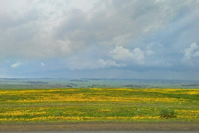 Explore the Ethiopian Rift Valley Lakes and the UNESCO Site of Steles of Tiya - Final Thoughts