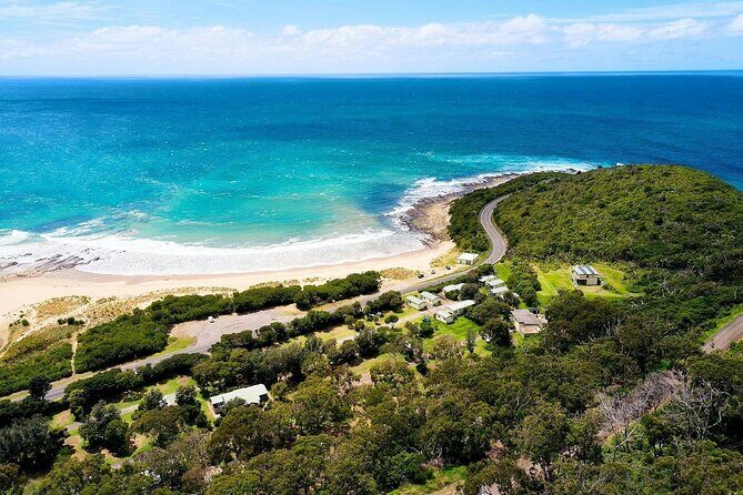 Explore the Great Ocean Road a Coastal Adventure - The Details That Make This Tour Stand Out