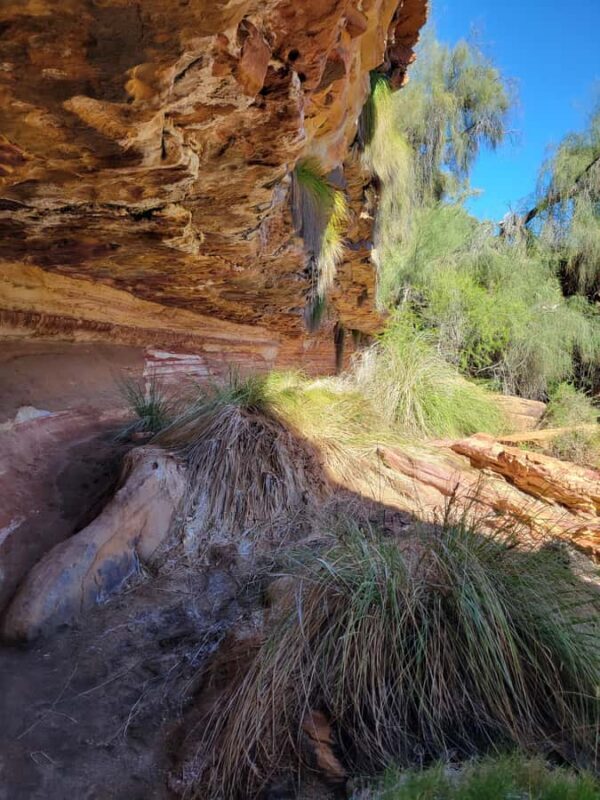 Explore the Hidden Gorges: Kalbarri N.P, 4WD, Hike, Canoe - A Closer Look at the Tour Experience