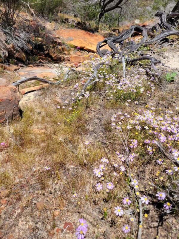 Explore the Hidden Gorges: Kalbarri N.P, 4WD, Hike, Canoe - The Sum Up