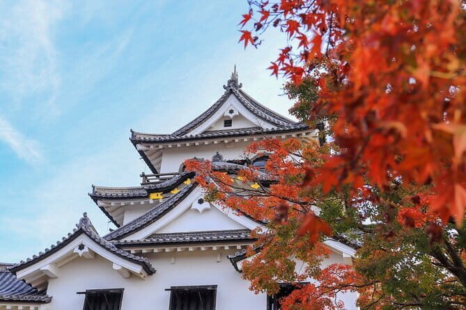 Explore the Historic Castle Town of Hikone from Kyoto - A Detailed Look at the Hikone Tour Experience