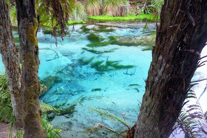 Explore The Lakes Tour - Discovering Rotorua’s Lakes: The Itinerary Breakdown