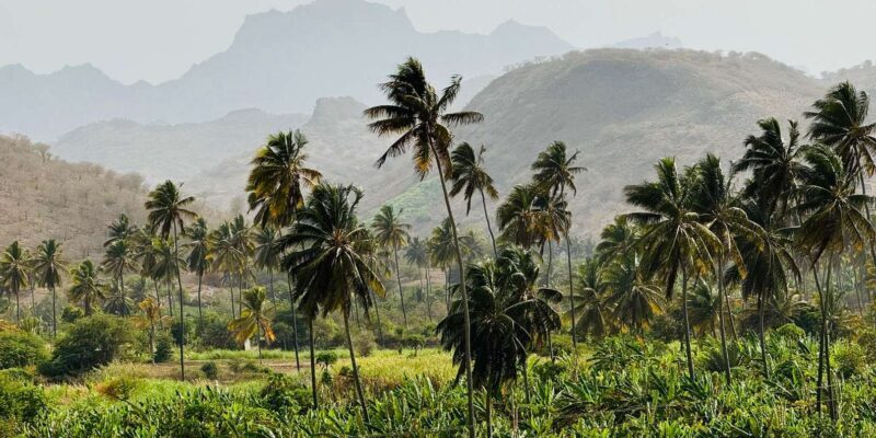 Explore the largest banana plantation in Cabo Verde - What to Expect at the Banana Plantation