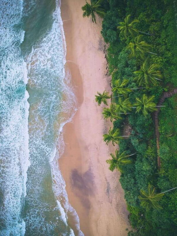 Explore the MAGIC of Sri Lanka in 7days -4 Star hotels Incl. - Key Points