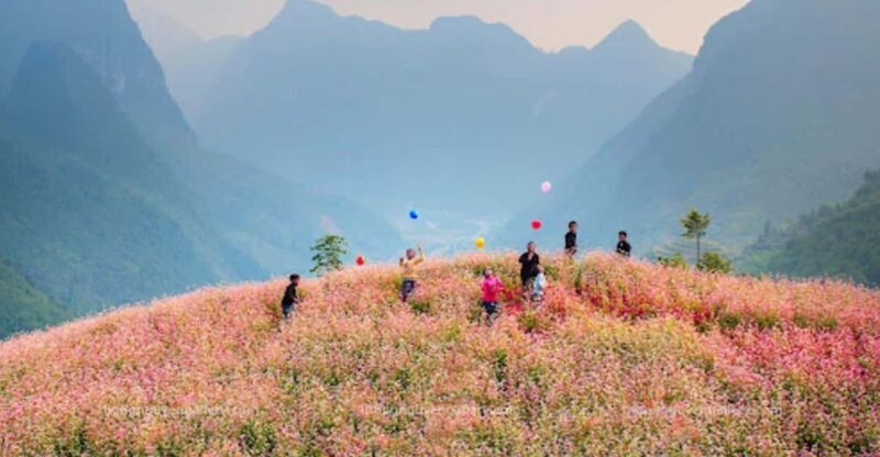 Explore the majestic Ha Giang with direct bus from Ha Noi - Why Choose This Bus Service for Your Ha Giang Adventure?