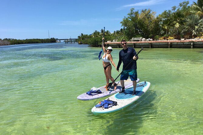 Explore the Mangrove Creeks with an ALL Day Tandem Kayak Rental - What Reviewers Say