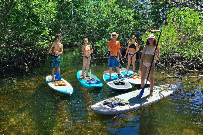 Explore the Mangrove Creeks with an ALL Day Tandem Kayak Rental - Who Should Consider This Tour?