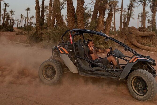 Explore the Marrakech Palm Desert in Buggy - Exploring the Marrakech Palm Desert in Buggy: An Honest Review