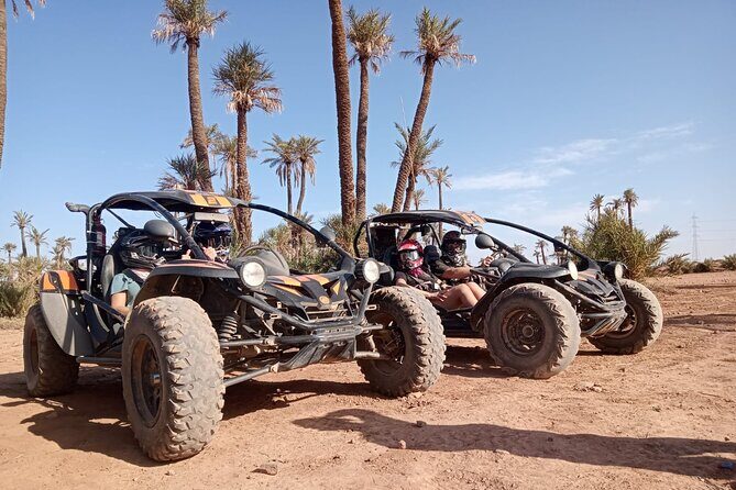 Explore the Marrakech Palm Desert in Buggy - What the Reviews Say