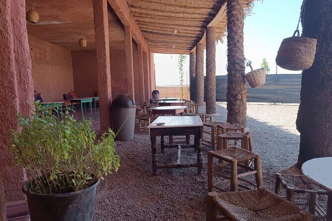 Explore the Marrakech Palm Desert in Buggy - The Practicalities