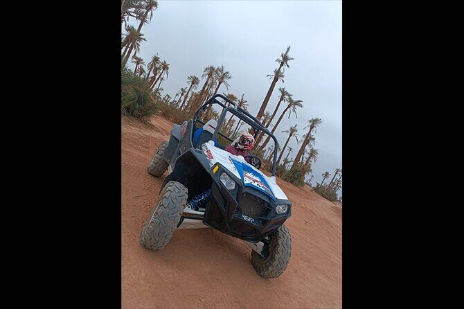 Explore the Marrakech Palm Desert in Buggy - Final Thoughts: Is This Tour Worth It?