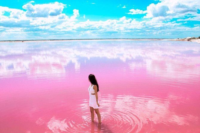 Explore the Nature: Las Coloradas & Rio Lagartos from Playa del Carmen - Ría Lagartos Nature Reserve: Wildlife and Mangroves