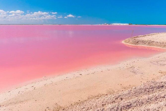 Explore the Nature: Las Coloradas & Rio Lagartos from Playa del Carmen - Local Cuisine and Cultural Insights