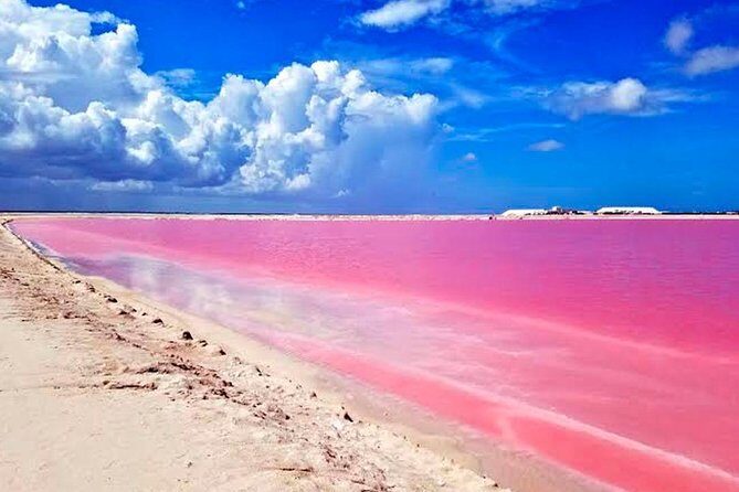 Explore the Nature: Las Coloradas & Rio Lagartos from Playa del Carmen - Who Should Consider This Tour?