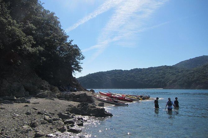 Explore the Nature that Inspired Ghibli Movies by Kayak (Half Day) - What to Expect During Your Time on the Water
