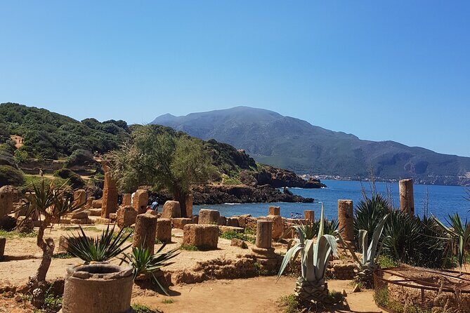 Explore the Ruins of Tipaza and Cherchell - A Deep Dive into the Itinerary: What You’ll Really Experience