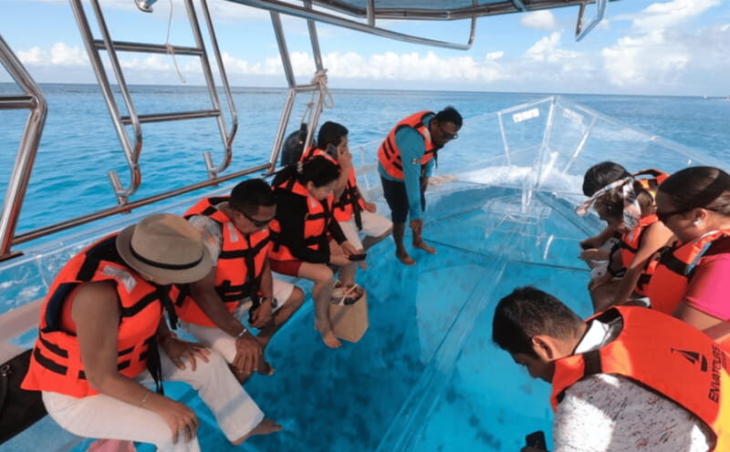 Explore the sea of cozumel in a transprent boat with drinks and snorkel. - Final Thoughts: Who Will Love This Tour?