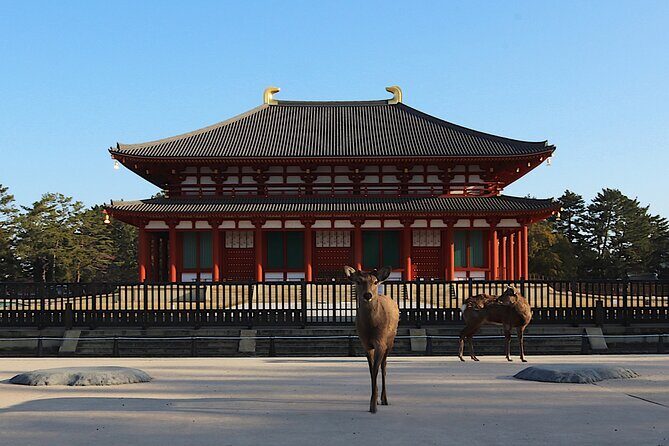 Explore the Timeless Heritage of Nara from Kyoto - Analyzing the Value