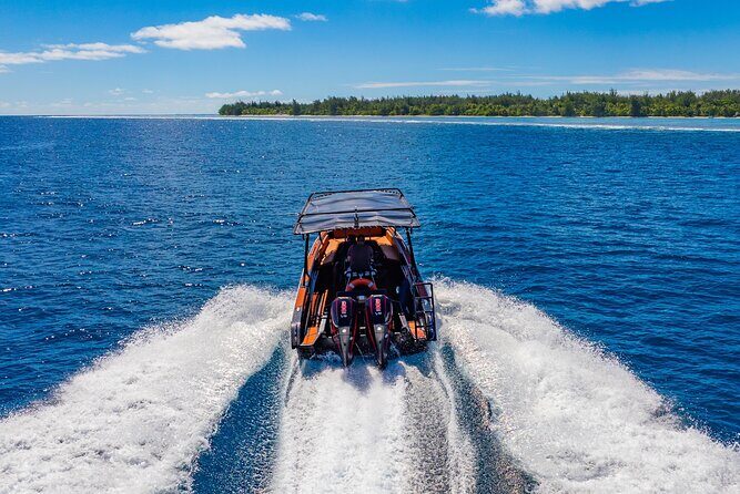 Explore the Vanilla Island Full-Day Tour to Tahaa from Bora Bora - Detailed Review of the Vanilla Island Full-Day Tour to Tahaa