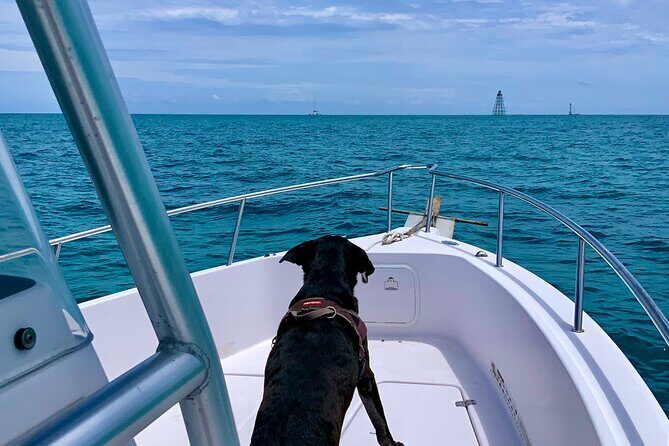 Explore the Waters of Key West - An In-Depth Look at the Snorkeling Experience