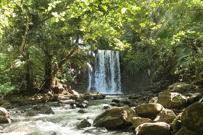 Explore The Wild South - FAQ