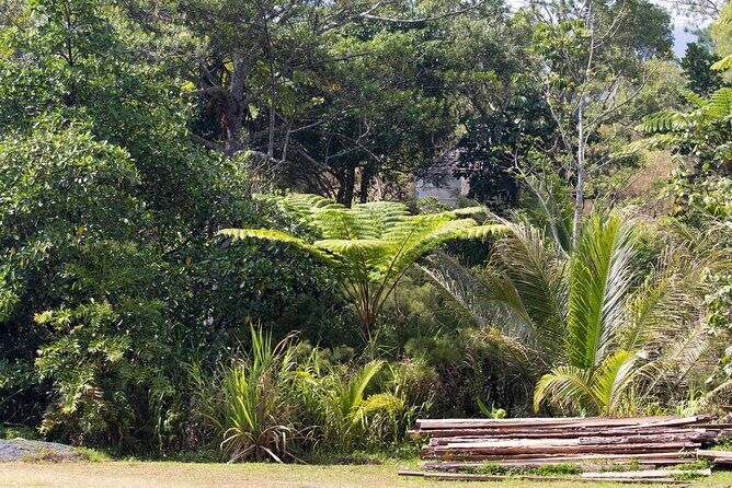 Explore the Wonders of New Caledonia from Noumea Cruise Terminal - A Close Look at the Itinerary