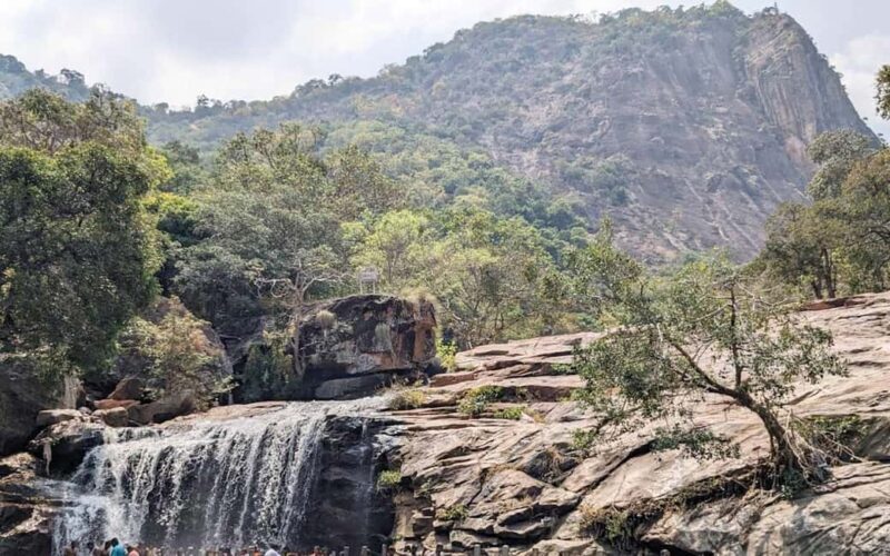 Explore Thirumoorthy Hills: Dam, Temple & Falls in One Day - Who Should Consider This Tour