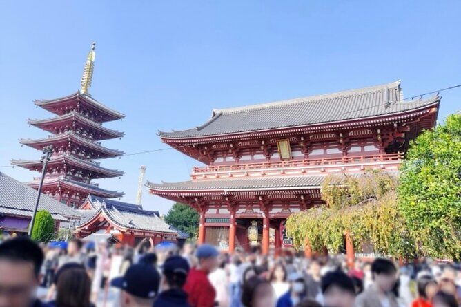 Explore Tokyo Highlights Layover Tour - A Practical Look at the Tour