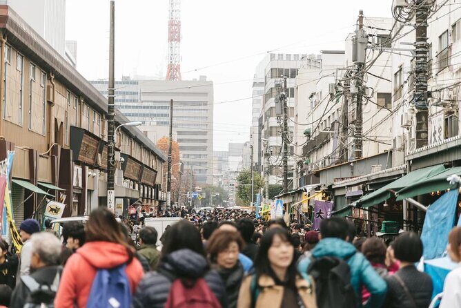 Explore Tokyo Highlights Layover Tour - Who Should Consider This Tour?