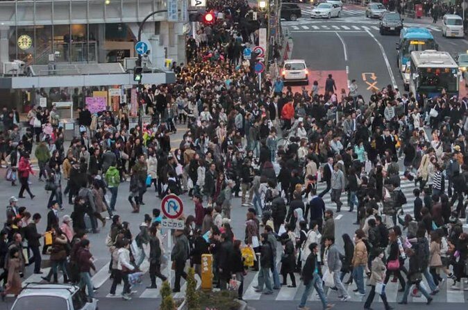 Explore Tokyo on a Private Walking Tour - Authentic Experiences and Practical Tips