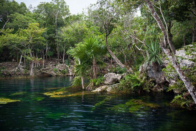Explore Tulum Ruins and Cenote Jungle Adventure from Cancún - Final Thoughts