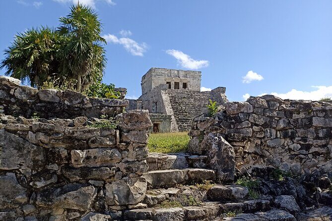 Explore Tulum Tour to Cenote and Ruins - A Detailed Look at the Tour Experience