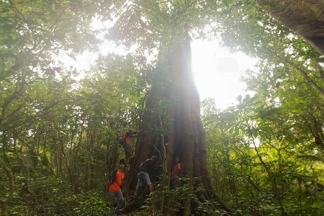 Explore Twin Lake Jungle Trekking and Canoeing - What Travelers Say