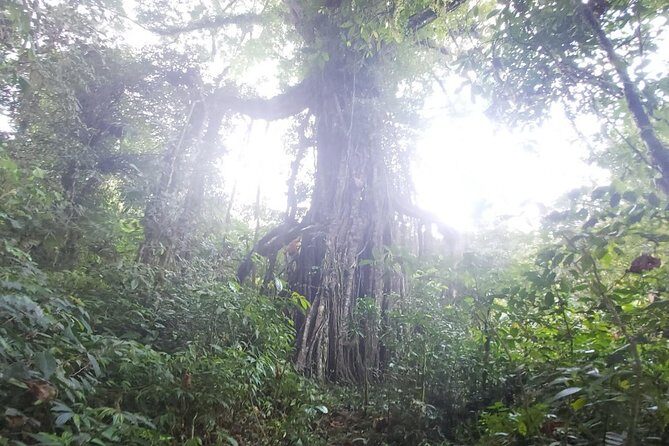 Explore Twin Lake Jungle Trekking and Canoeing - Final Thoughts